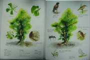 picture19.jpg